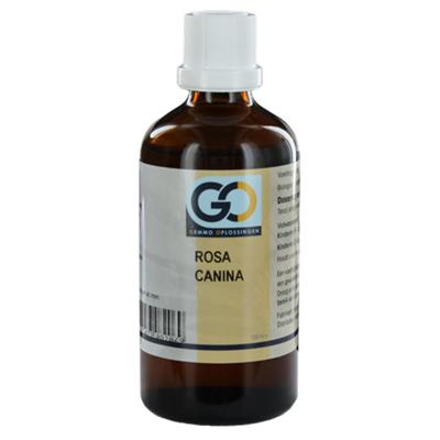 Rosa canina bio 100 Milliliter