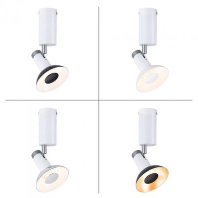 Paulmann 79523 Runa Plafondlamp GU10 Wit, Grijs