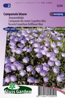 Karpatenklokje bloemzaden - Campanula blauw - thumbnail