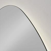 Ben Organic organische spiegel met LED verlichting en anti-condens 80x50cm - thumbnail