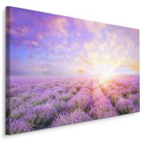 Schilderij - Lavendel tot aan de Horizon, paars, Premium Print - thumbnail