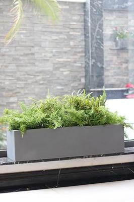 Pottery Pots balkonbak grijs 80x20x20 cm