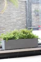 Pottery Pots balkonbak grijs 80x20x20 cm - thumbnail