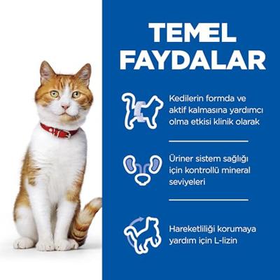 Hill's Science Plan Gesteriliseerd kattenvoer voor jongvolwassenen met kip 10 kg