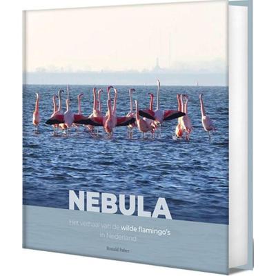 Ronald Faber - Nebula