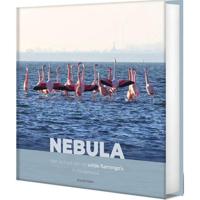 Ronald Faber - Nebula - thumbnail