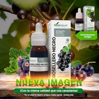 Soria Ribes Nigrum Xxi Extr.fl. 50ml - thumbnail