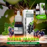 Soria Natural Ribes Nigrum XXI Extract - thumbnail