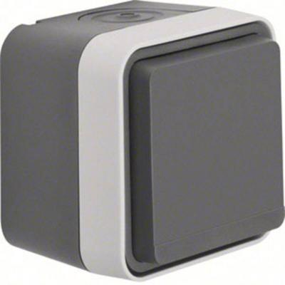 Berker 47633505 W.1 (opbouw) Wandcontactdoos met randaarde en klapdeksel spatwaterdicht Grijs, Lichtgrijs 1 stuk(s) Berker 47633505 W.1 (opbouw) Wandcontactdoos met randaarde en klapdeksel spatwaterdicht Grijs, Lichtgrijs 1 stuk(s)