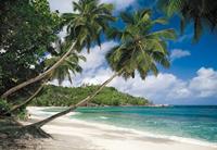 Komar Home Fotobehang Tropical Sea - 8-308 - thumbnail