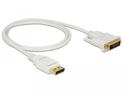 DisplayPort naar DVI kabel
