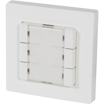 HOMEPILOT 12501006 Wandtoets Draadloos Opbouw (op muur)