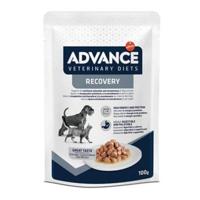 ADVANCE VETERINARY DIET DOG / CAT RECOVERY 11X100 GR - thumbnail