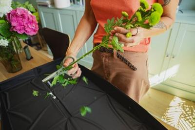 Fiskars plant care plantenschaar met houder - 1075315