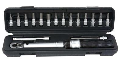 Radon Pro Torque Wrench 1/4" 5-25 Nm fixable incl. Bits