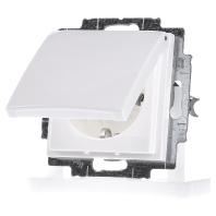 Busch-Jaeger 20 EUK-914 Wandcontactdoos met randaarde en klapdeksel Inzetstuk Busch-balance SI Alpine-wit 1 stuk(s) - thumbnail