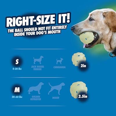 CHUCKIT MAX GLOW AIR FETCH BALL - thumbnail