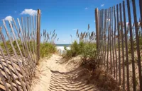 Alexsar Art Tuindoek strand pad 140x90cm - thumbnail