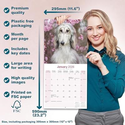 Afghaanse Windhond Kalender 2026 Afghaanse Windhond Kalender 2026