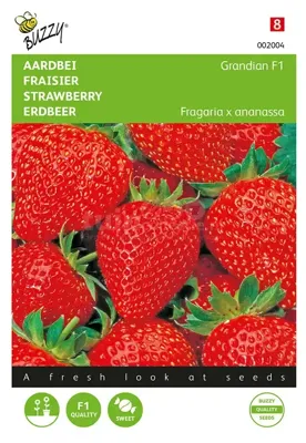 Buzzy® Aardbeien Grandian F1 Zaden