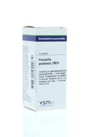 VSM Pulsatilla pratensis LM24 4 Gram - thumbnail