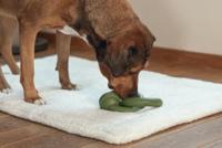 Beeztees Sumo Team Groen - thumbnail