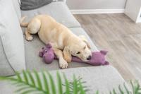 Trixie hondenspeelgoed nijlpaard stof - thumbnail