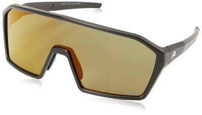 Olympic Sportswear Alpina sports sportbril ram q-lite gouden spiegel zwart