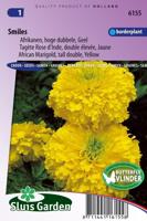 Tagetes Erecta zaden Smiles afrikaan - thumbnail