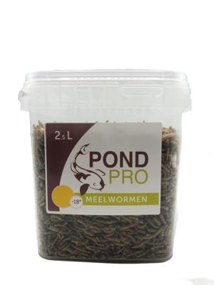 Pond Pro Meelwormen 2,5L - Eiwitrijk Voer voor Koi, Schildpadden en Kippen, Bevordert Groei en Vitaliteit Pond Pro Meelwormen 2,5L - Eiwitrijk Voer voor Koi, Schildpadden en Kippen, Bevordert Groei en Vitaliteit