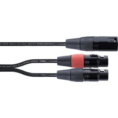 Cordial EY 0,3 MFF XLR Y-adapter [1x XLR-stekker 3-polig - 2x XLR-bus 3-polig] 0.30 m Zwart