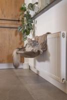 Beeztees Radiatorhangmat Sleepy Grijs - thumbnail