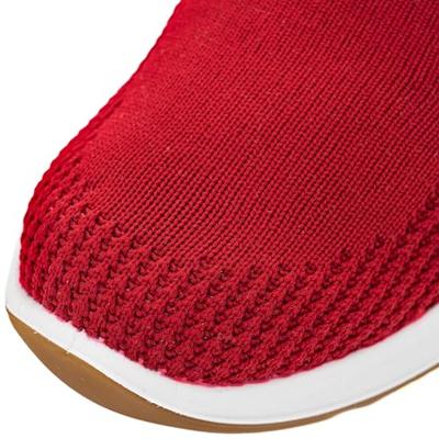 Ara 1254042 - alle Ara 1254042 - alle