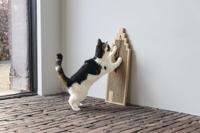 Designed by Lotte krabplank Berit - thumbnail