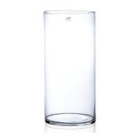 Glazen vaas transparant 19 x 40 cm - Vazen - thumbnail