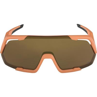 Olympic Sportswear Alpina sports sportbril rocket q-lite mat roze