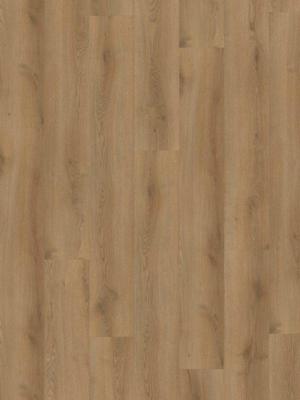 Hoomline PVC - Stilleven Hals 832