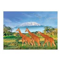 Puzzel - SENTOSPHERE - Calypto - 500 stukjes XL - Giraffen - Vanaf 8 jaar - thumbnail