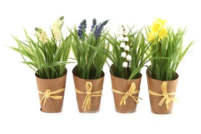 Lentebloemen Linch gemixte