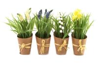 Lentebloemen Linch gemixte - thumbnail