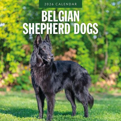 Belgische Herder Kalender 2026 Belgische Herder Kalender 2026