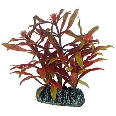 Plantasy set 6 decoratie planten Hobby Smulders - Smulders