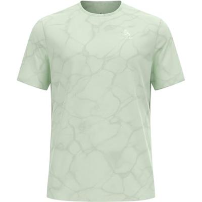 Odlo ZeroWeight Crew Neck Chilltec T-Shirt Heren