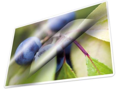 Kangaro Lamineerhoezen A4 pak a 25 vel Kangaro Lamineerhoezen A4 pak a 25 vel