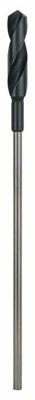 Bosch Accessories 2608597167 Bekistingsboor 22 mm Gezamenlijke lengte 400 mm Cilinderschacht 1 stuk(s) Bosch Accessories 2608597167 Bekistingsboor 22 mm Gezamenlijke lengte 400 mm Cilinderschacht 1 stuk(s)