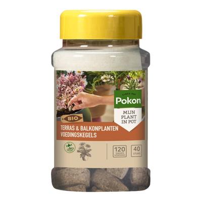 Pokon Bio Terras & Balkon Planten Voedingskegels 40 stuks Pokon Bio Terras & Balkon Planten Voedingskegels 40 stuks