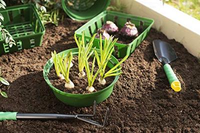 Connex Korf Voor Plantgoed 22Cm (3St) - FLOR79150