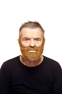 Valse baard My Other Me Bruin