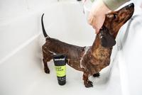 Animology Deep Clean Shampoo - thumbnail