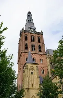 Alexsar Art Tuinschilderij sint jans toren 50x70cm